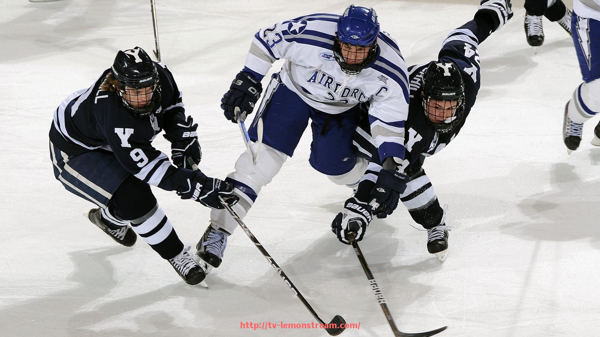 柠檬体育直播-法甲名宿贡献及传奇球员故事回顾