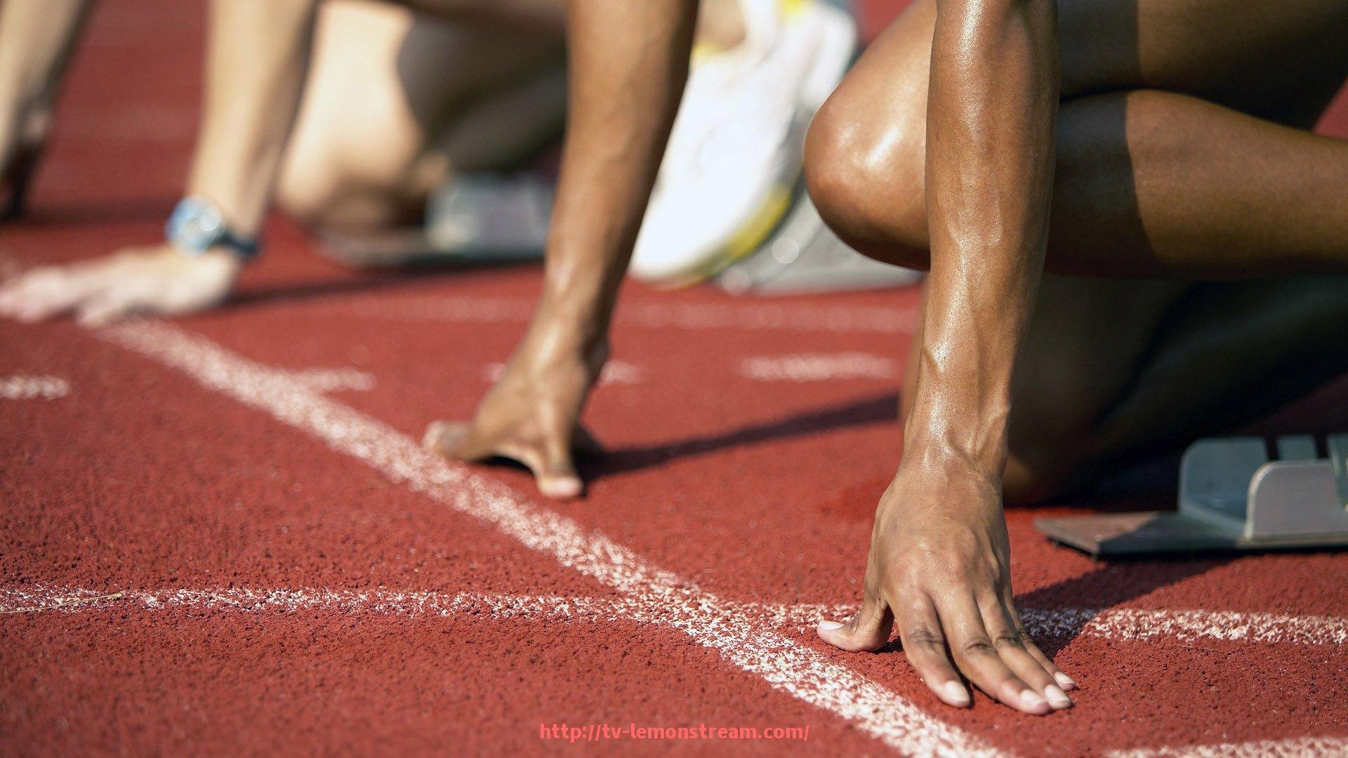 柠檬体育直播-世俱杯比赛字幕服务上线，多语种支持提升观赛体验