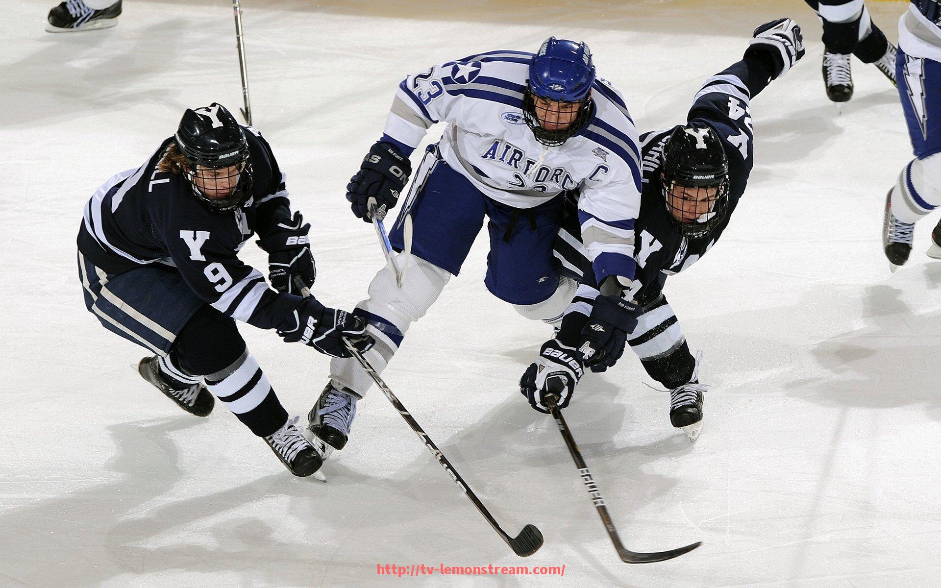 柠檬体育直播-健身器材的英文名称与相关术语：了解健身器材的国际术语