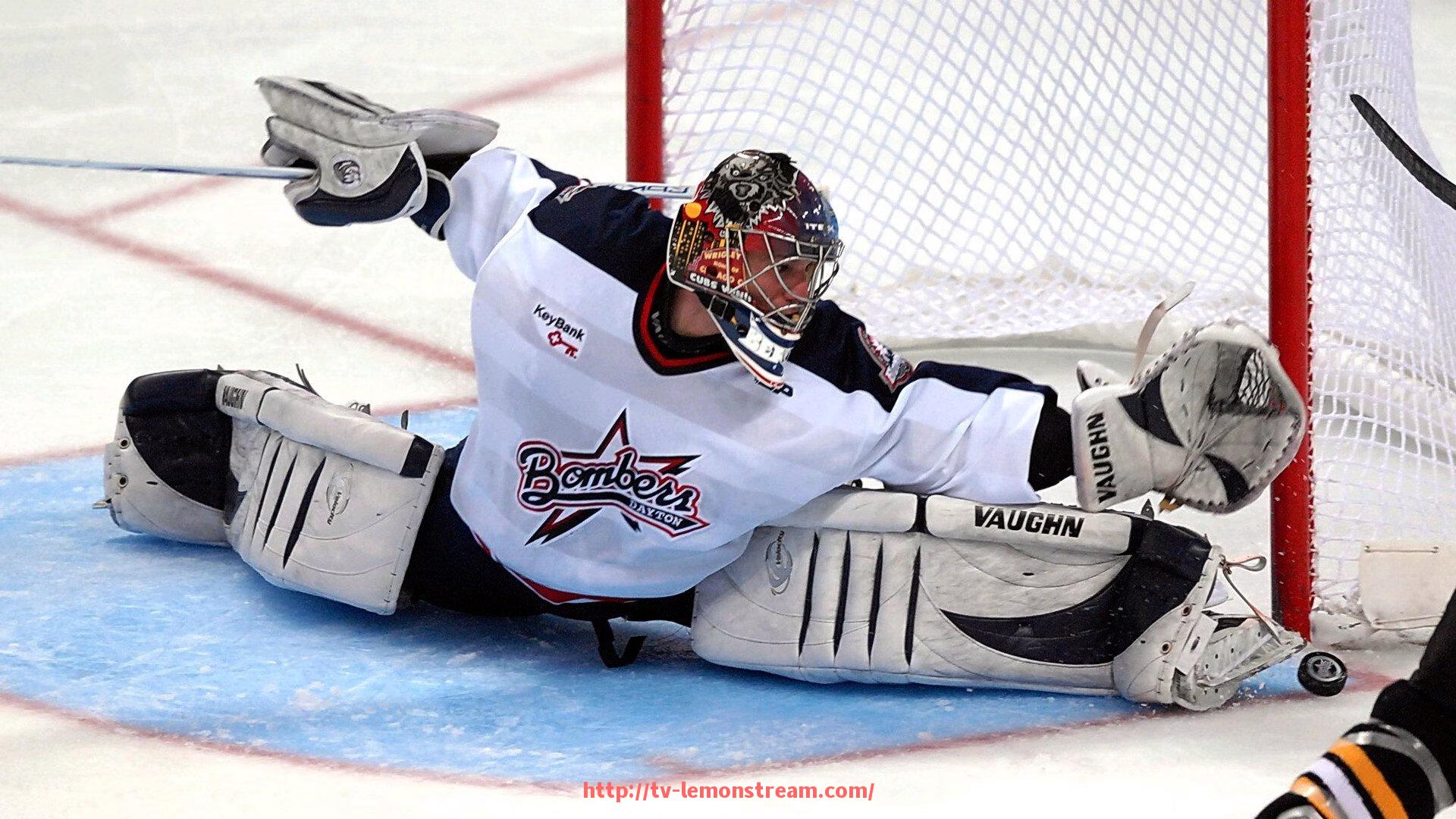 柠檬体育直播-德甲欧冠球队排名最新榜单及实力分析总结